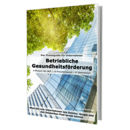 Betriebliche Gesundheitsförderung Buch