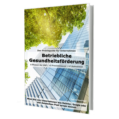 Betriebliche Gesundheitsförderung Buch