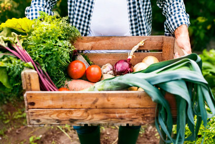 BGF Maßnahme Gesunde Kantine - regionale Produkte