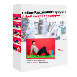 Faszienkurs Arbeitsverspannungen 3D Box