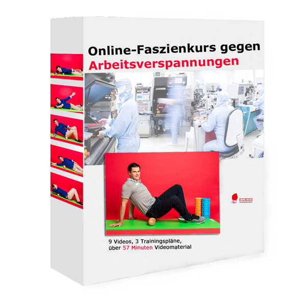 Faszienkurs Arbeitsverspannungen 3D Box